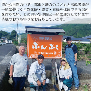 古民家民泊ぶんぶく 2名様宿泊券 田舎暮らし＋養蜂体験付きプラン
