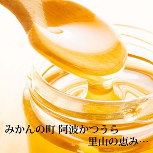 はちみつ太良 4kg