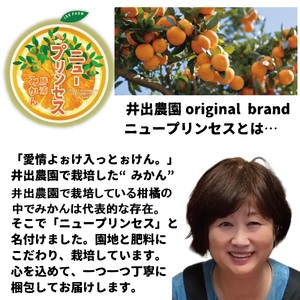 井出農園 家庭用 熟成みかん S-LLサイズ 10kg