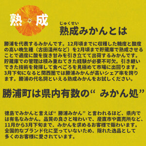 井出農園 家庭用 熟成みかん S-LLサイズ 10kg