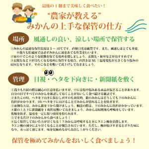 井出農園 家庭用 熟成みかん S-LLサイズ 10kg