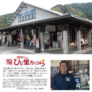 勝浦産みかんストレート 720ml×6本