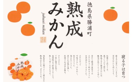 みかんジュレ 8個