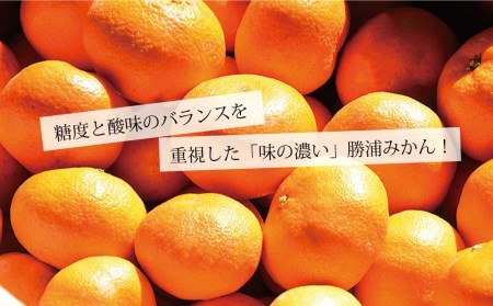 花岡農園 熟成みかん 秀品 S-LLサイズ 10kg