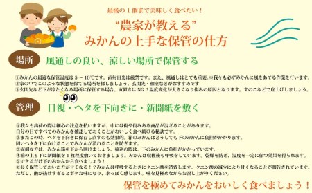 金星園 特選 熟成みかん 秀品 S-LLサイズ 10kg