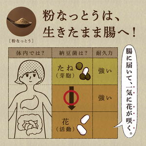 【定期便2回/2カ月毎】粉なっとう（あらびき）180g