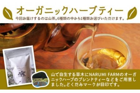 山茶 ミント 1パック NARUMIFARM《30日以内に出荷予定(土日祝除く)》お茶 茶 ハーブティー 自然栽培 ブレンドティー ブレンド オーガニック 飲料 飲み物 お家時間 徳島県 上勝町 送料無料