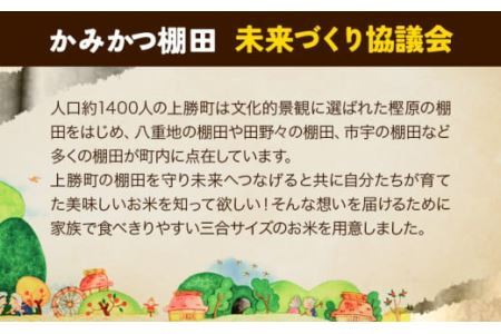 かみかつ棚田未来づくり協議会 米 かみかつの棚田米 松下さんちのお米 白米 コシヒカリ レターパック配送 3合《30日以内に出荷予定(土日祝除く)》 徳島県 上勝町 ふるさと納税 送料無料 st-p