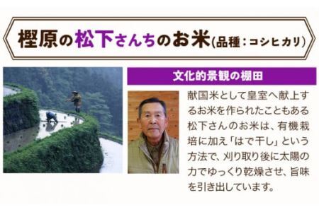 かみかつ棚田未来づくり協議会 米 かみかつの棚田米 松下さんちのお米 白米 コシヒカリ レターパック配送 3合《30日以内に出荷予定(土日祝除く)》 徳島県 上勝町 ふるさと納税 送料無料 st-p