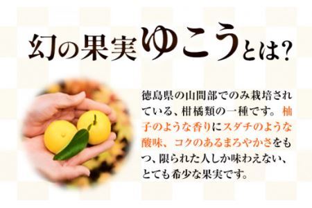 ゆこう の 酒 リキュール 8度 720ml 1本 幻の果実 柚香 株式会社高鉾建設 酒販事業部 《30日以内に出荷予定(土日祝除く)》 徳島県 上勝町 お酒 アルコール 果汁 炭酸割り ロック 国産 ギフト 贈答 送料無料