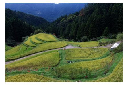 どぶろく庵仁(あんじん) 棚田米100%のお酒2本セット 醸造量の限られた上勝ならではの濁酒 《30日以内に出荷予定(土日祝除く)》