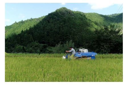 どぶろく庵仁(あんじん) 棚田米100%のお酒2本セット 醸造量の限られた上勝ならではの濁酒 《30日以内に出荷予定(土日祝除く)》