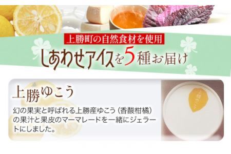 しあわせアイス 5種 セット 計8個 彩食品グループ 《30日以内に出荷予定(土日祝除く)》アイス アイスクリーム ご当地 スイーツ ご当地 アイス 特産品 柑橘 柚香 晩茶 お取り寄せ カップ ジェラート 徳島県 上勝町 送料無料