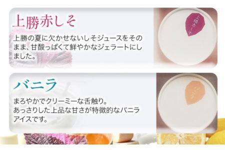 しあわせアイス 5種 セット 計8個 彩食品グループ 《30日以内に出荷予定(土日祝除く)》アイス アイスクリーム ご当地 スイーツ ご当地 アイス 特産品 柑橘 柚香 晩茶 お取り寄せ カップ ジェラート 徳島県 上勝町 送料無料