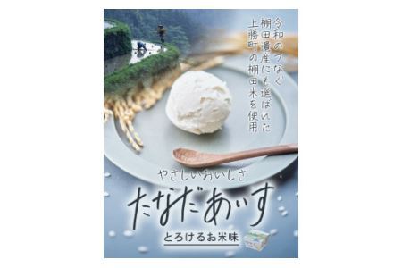 たなだあいす 2個 かみかつ棚田未来づくり協議会 《30日以内に出荷予定(土日祝除く)》 徳島県 上勝町 ふるさと納税