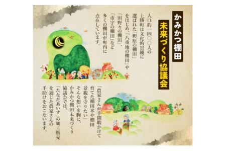 たなだあいす 2個 かみかつ棚田未来づくり協議会 《30日以内に出荷予定(土日祝除く)》 徳島県 上勝町 ふるさと納税