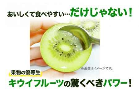 キウイフルーツ 約 3.6kg  JA東とくしま