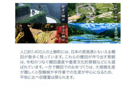 たなだあいす 6個 かみかつ棚田未来づくり協議会 《30日以内に出荷予定(土日祝除く)》 徳島県 上勝町 ふるさと納税