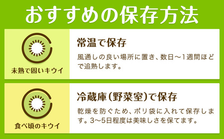 佐那河内産キウイフルーツ　1箱(33玉入り)　《1月上旬-3月中旬頃発送》 配送不可地域あり ※離島