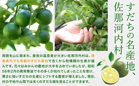 すだち果汁スティック 30本 JA徳島市農産工場《30日以内に出荷予定(土日祝除く)》│ すだちすだちすだち