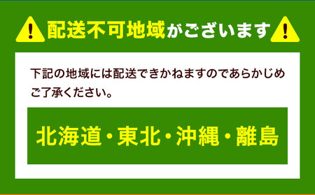 リピーター続出!ふわっふわのシフォンケーキ(プレーン) ガトー・アンジェ 《30日以内に出荷予定(土日祝除く)》ケーキ 洋菓子 ホール デザート お取り寄せ 手土産 プレゼント 冷蔵 徳島県 佐那河内【配送不可地域あり】