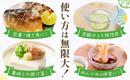 <2026年予約受付> 徳島県産 訳あり【B級】すだち 2kg《9月上旬〜9月末発送予定》佐那河内村