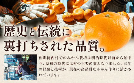 訳あり 熟成みかん 1.9kg 《1月上旬-3月上旬頃出荷》徳島 柑橘 ミカン 蜜柑 フルーツ 青果物 お試し 徳島県 佐那河内村