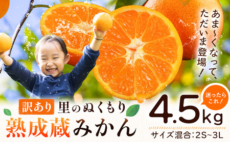 訳あり 熟成みかん 4.5kg 《1月上旬-3月上旬頃出荷》徳島 柑橘 ミカン 蜜柑 フルーツ 青果物 徳島県 佐那河内村