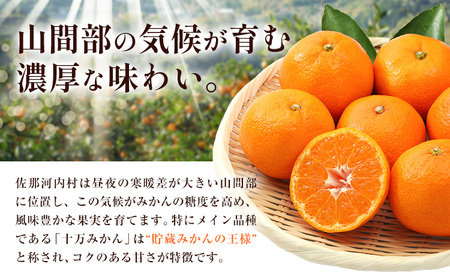 訳あり 熟成みかん 4.5kg 《1月上旬-3月上旬頃出荷》徳島 柑橘 ミカン 蜜柑 フルーツ 青果物 徳島県 佐那河内村