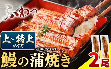 徳島県産 うなぎの蒲焼き2尾 タレ・山椒付《30日以内に出荷予定(土日祝除く)》うなぎの蒲焼き 徳島県産