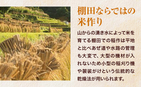 《年明け出荷対応》清流と寒暖差が生む村自慢の棚田米 無洗米 5kg《1月中旬-2月下旬》