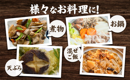 「訳あり」生しいたけ 200g×3袋(サイズ混合) 《30日以内に出荷予定(土日祝除く)》 【配送不可地域あり】