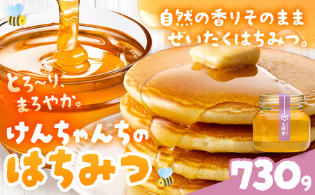 けんちゃんちのはちみつ 730g《30日以内に出荷予定（土日祝除く）》ふるさと納税 はちみつ ハチミツ 蜂蜜 国産蜂蜜 天然蜜蜂 徳島県 佐那河内村 送料無料