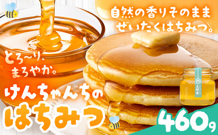 けんちゃんちのはちみつ 460g《30日以内に出荷予定（土日祝除く）》ふるさと納税 はちみつ ハチミツ 蜂蜜 国産蜂蜜 天然蜜蜂 徳島県 佐那河内村 送料無料