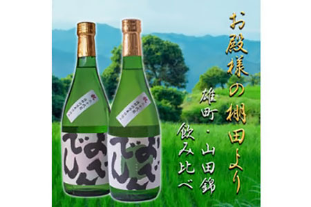銘酒おでんでん(山田錦1本・雄町1本)