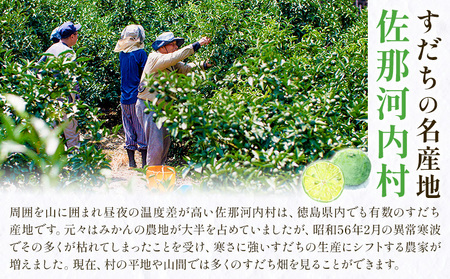 <先行予約> 徳島県産 ハウスすだち 1kg《2026年6月中旬〜8月上旬発送予定》佐那河内村