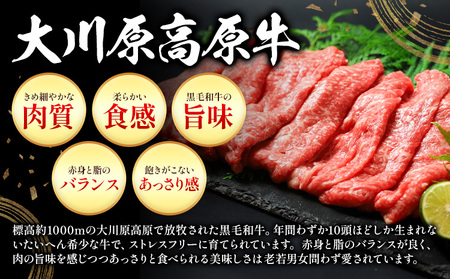 大川原高原牛 赤身モモスライス 500g 肉の藤原《60日以内に出荷予定(土日祝除く)》