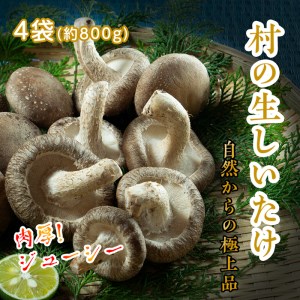 肉厚!ジューシー!村でとれた極上生しいたけ200g×4袋