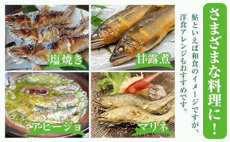 すだち鮎 12尾 冷凍 有限会社岩崎商店 《30日以内に出荷予定(土日祝除く)》│1尾あたり20～25cm 徳島県産 あゆ アユ 魚 魚介 川魚 塩焼き 甘露煮 徳島県 佐那河内村