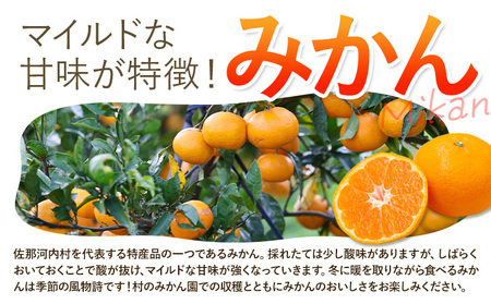 令和8年度果樹オーナー権（みかん）