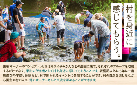 令和8年度果樹オーナー権（キウイ）