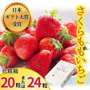 さくらももいちご(20粒または24粒入り化粧箱)　※2025年1月上旬頃から発送　※北海道・沖縄・離島への配送不可