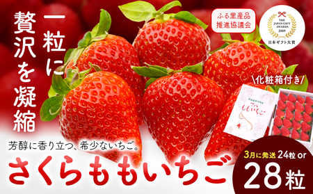 佐那河内村限定 さくらももいちご 24粒 28粒｜いちご