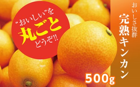 さなごうちフルーツ金柑 500g ※2020年2月頃から発送