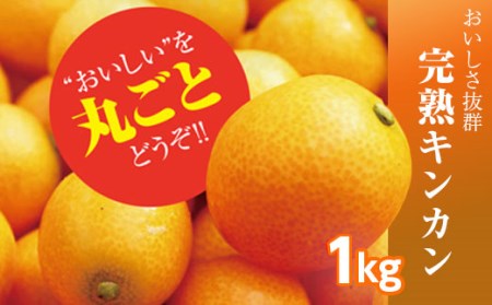 さなごうちフルーツ金柑 1㎏ ※2020年2月頃から発送