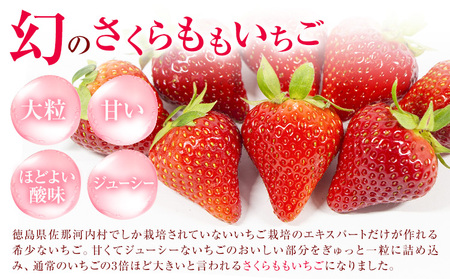 大福 和菓子 さくらももいちご大福 苺大福 いちご大福 6個 福屋 盛壽の郷《12月下旬-2月末頃出荷》徳島県 佐那河内村 送料無料 菓子 苺 デザート お取り寄せスイーツ さくらももいちご【配送不可地域あり】(北海道・東北・沖縄・離島)