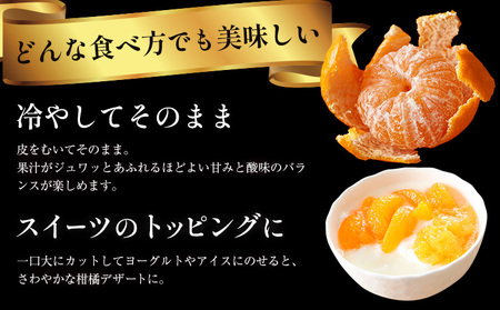 蔵出し熟成みかん『極』2箱《2月発送》｜ みかん 化粧箱入り 高級