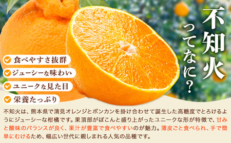 市原さんちの不知火(しらぬい)　1箱(15玉～24玉入り)　市原農園《3月中旬頃出荷予定》【配送不可地域あり】※離島 徳島県 佐那河内村 みかん 柑橘 フルーツ 果物 お取り寄せ プレゼント 送料無料