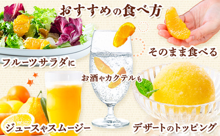 市原さんちの不知火(しらぬい)　1箱(15玉～24玉入り)　市原農園《3月中旬頃出荷予定》【配送不可地域あり】※離島 徳島県 佐那河内村 みかん 柑橘 フルーツ 果物 お取り寄せ プレゼント 送料無料