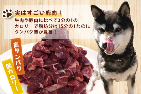 ワンちゃんのペットフード鹿肉小間切れ（冷凍250g×12パック）　犬 いぬ イヌ ジビエ 健康 エサ えさ 餌　NS-8